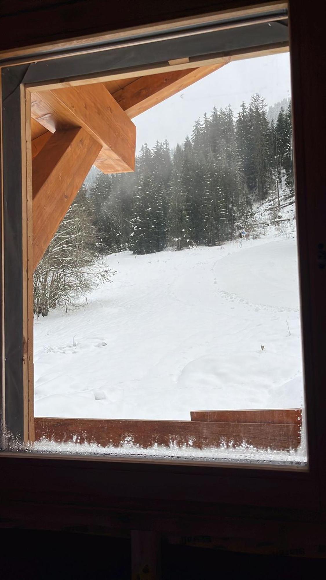 La Rose Des Neiges A Châtel Exterior foto